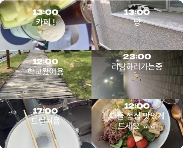 Six daily videos posted by participants: a cafe, a cat, a campus path, a night run, a drum and a lunch, each with a time and a short caption in Korean.